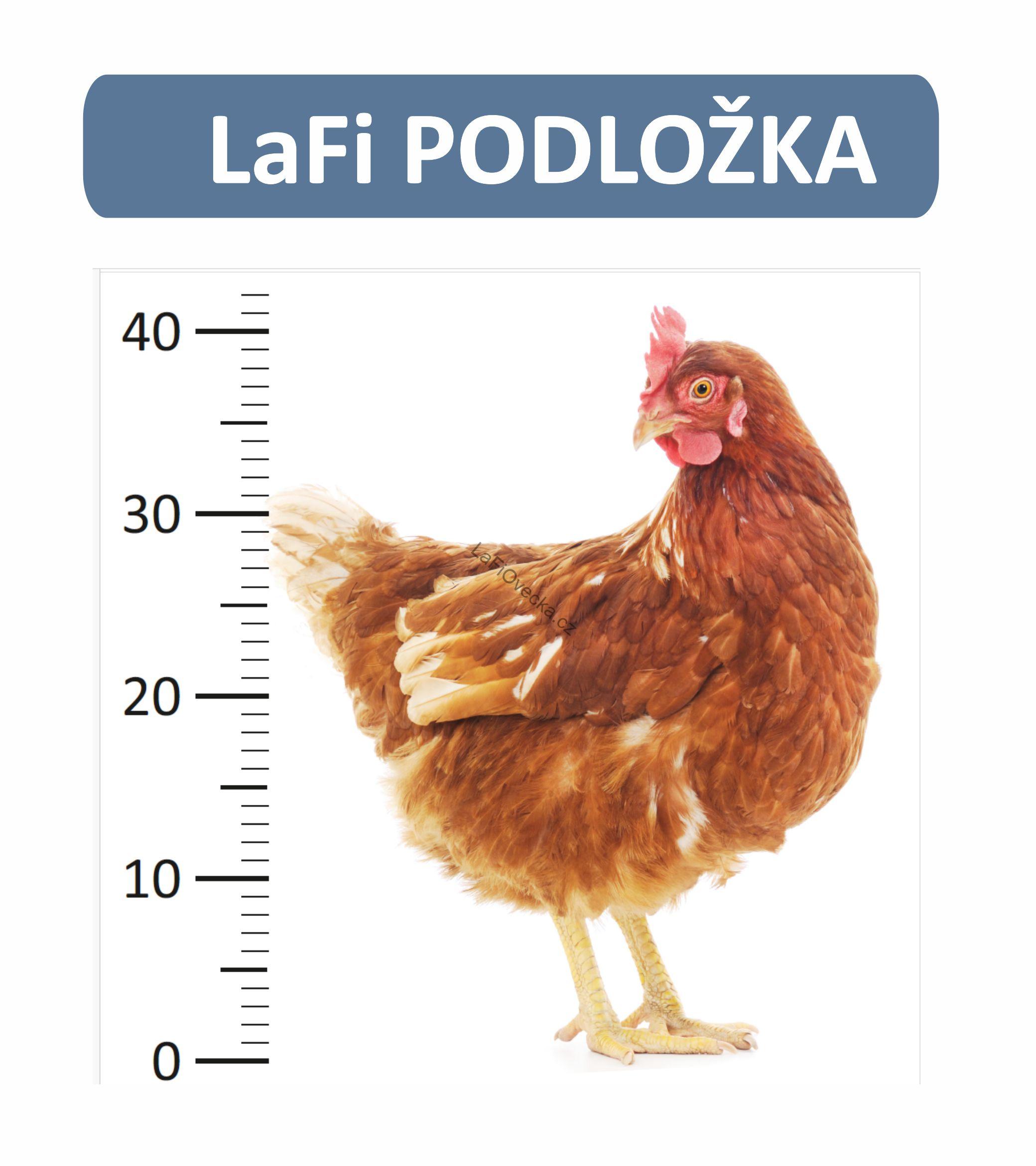 LaFi Měřítko – Slepice v životní velikosti | omyvatelná edukativní podložka