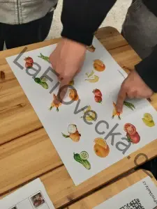 LaFi podložka – Hemisféry č. 6 (ovoce a zelenina) | koordinace ruka–oko