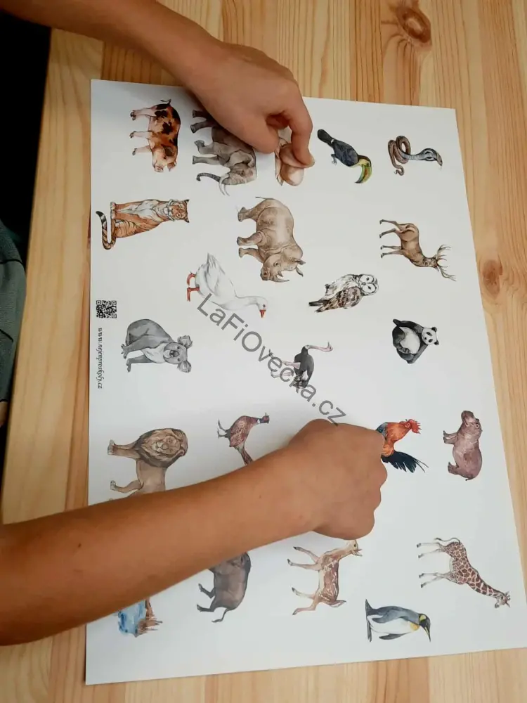 LaFi podložka – Hemisféry č. 5 (zvířata a souvislosti) | propojení hemisfér