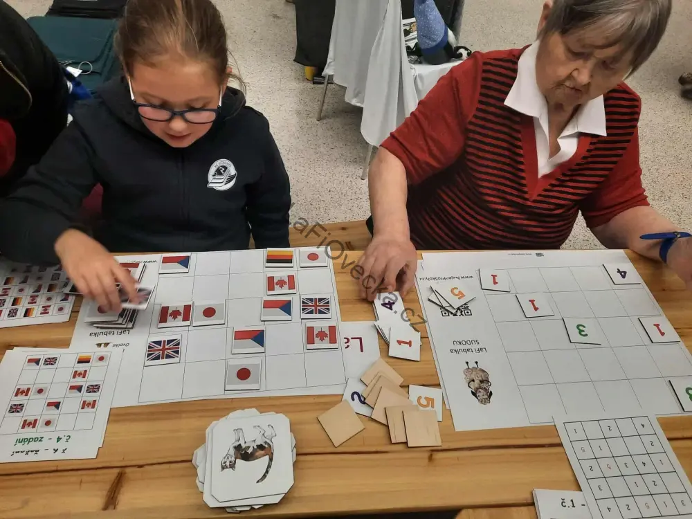 LaFi Sudoku – Vlajky | dřevěné obrázkové sudoku pro seniory
