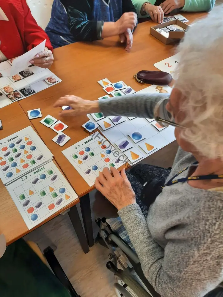 LaFi dřevěné obrázkové sudoku – Tvary