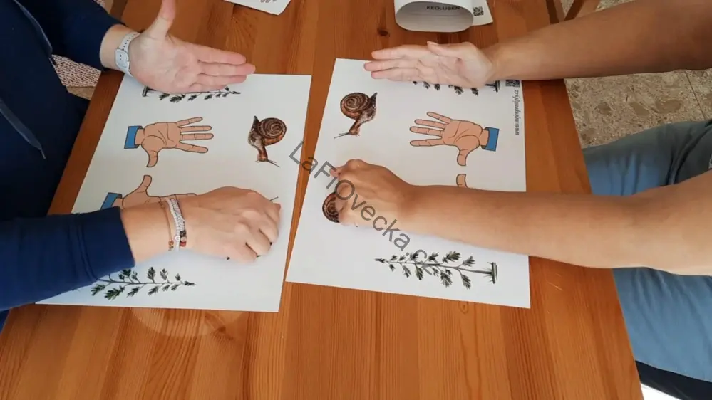 LaFi hra – Ruce v akci (2× A3) | Propojování hemisfér a trénink soustředění