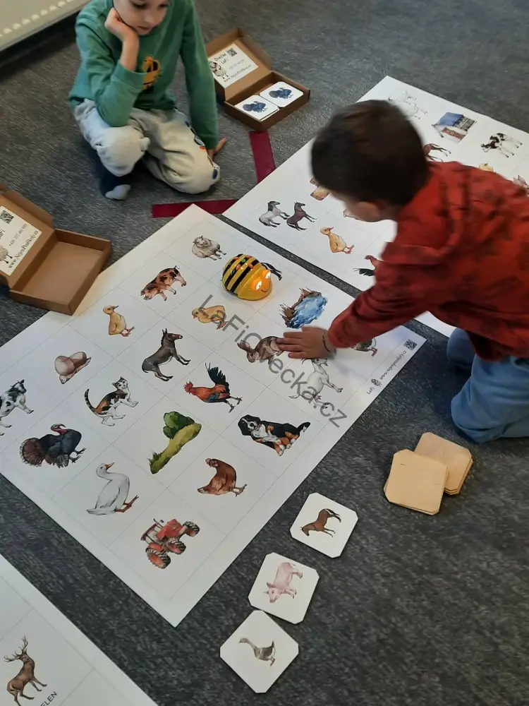 LaFi BeeBot podložka – Domácí zvířata| Robotika pro MŠ | Programování Bee-Bot | Česká výroba