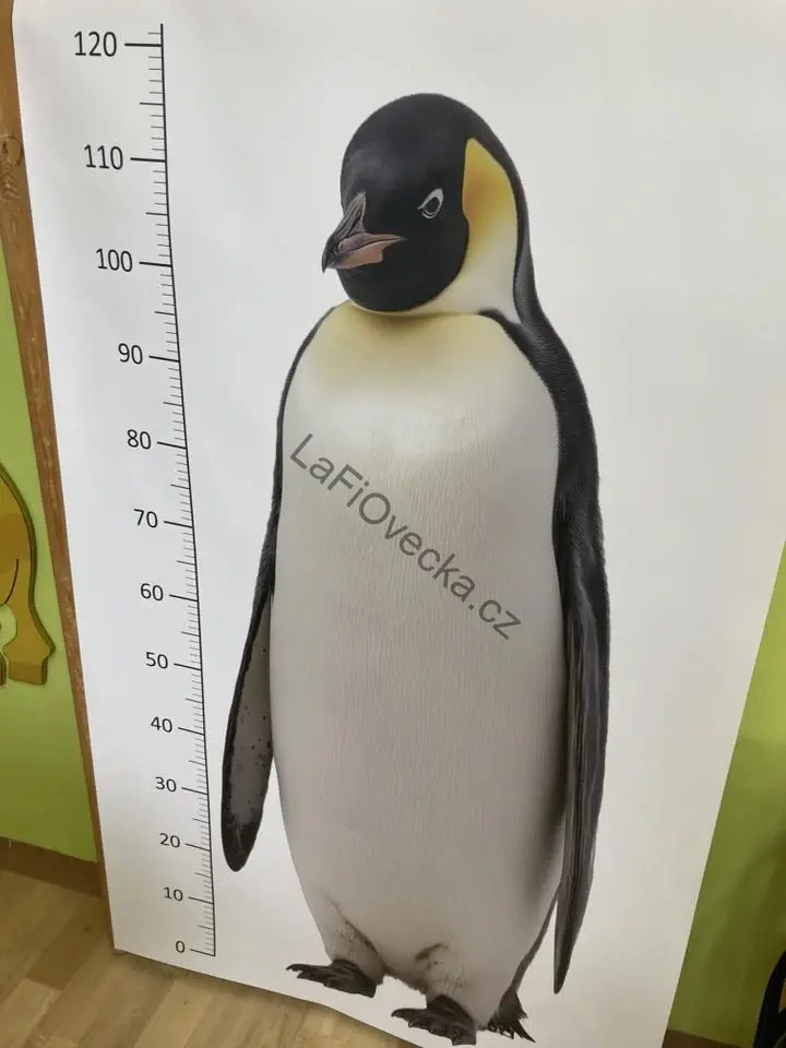 LaFi Měřítko – Tučňák císařský (životní velikost) 130×70 cm | Omyvatelná edukativní podložka