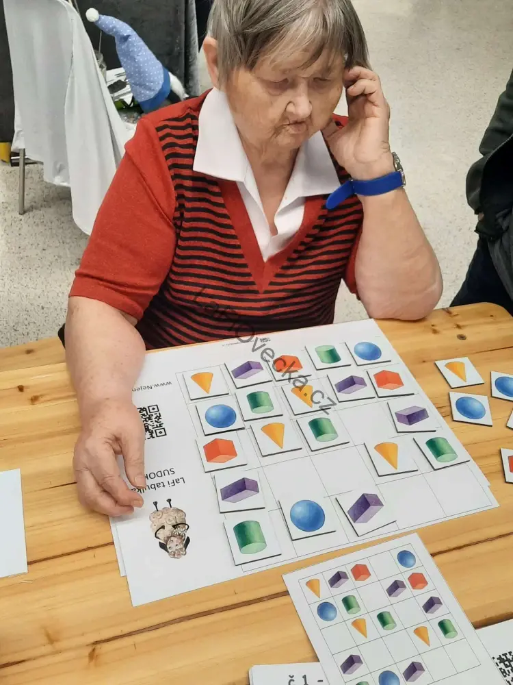 LaFi dřevěné obrázkové sudoku – Tvary