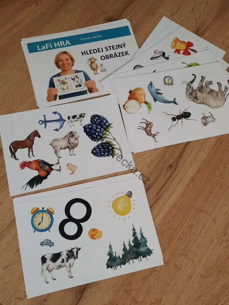 LaFi hra – Hledej stejný obrázek | Trénink paměti 