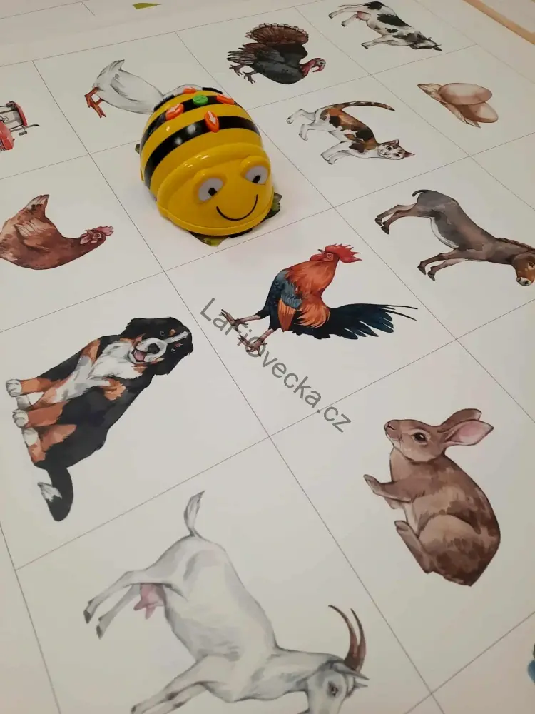 LaFi BeeBot podložka – Domácí zvířata| Robotika pro MŠ | Programování Bee-Bot | Česká výroba