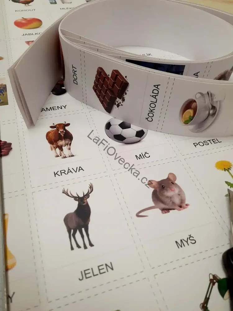 LaFi karty – Abeceda (140 omyvatelných karet 7×9 cm | REÁLNÉ OBRÁZKY + názvy VELKÝMI PÍSMENY)