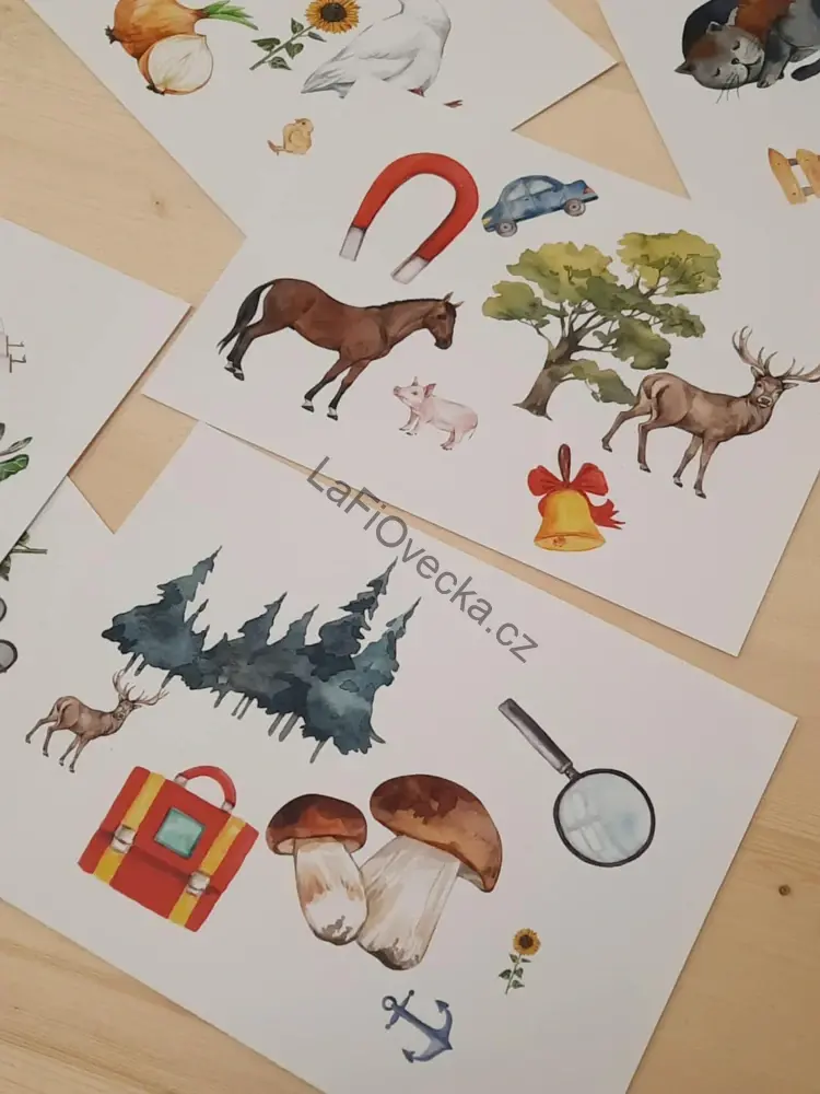 LaFi hra – Hledej stejný obrázek | Trénink paměti 