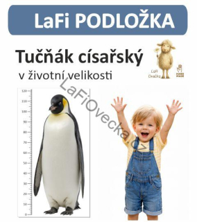 LaFi Měřítko – Tučňák císařský v životní velikosti | omyvatelná edukativní podložka
