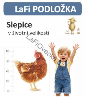 LaFi Měřítko – Slepice (životní velikost) | Omyvatelná pomůcka na měření cm | Česká výroba