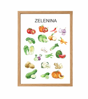 Vzdělávací dětský plakát Zelenina