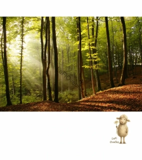 LaFi tapeta na míru – Sluneční les (fototapeta)