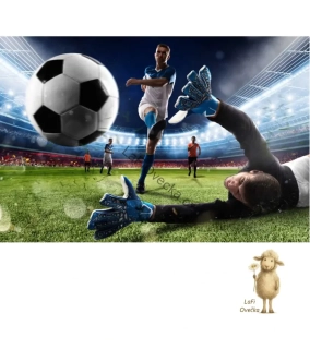 LaFi tapeta na míru – Fotbalový stadion (gól a brankář)