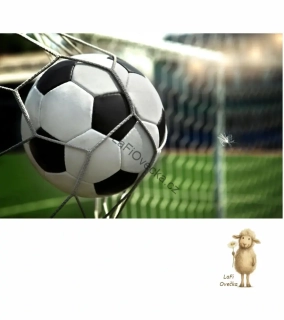 LaFi tapeta na míru – Fotbalový gól (míč v síti, stadion)