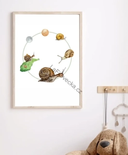 LaFi edukační plakát – Životní cyklus šnek