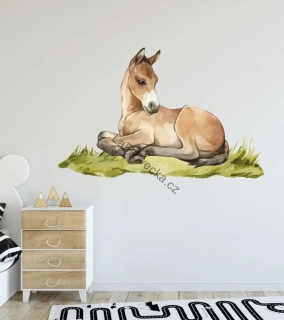 LaFi samolepka na zeď – Hříbátko | koně do dětského pokoje