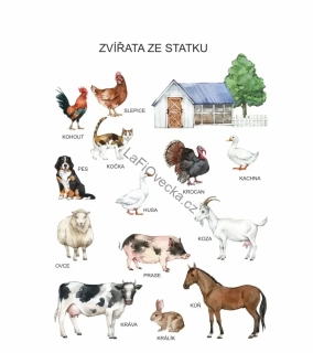 LaFi plakát – První čtení: Zvířata ze statku